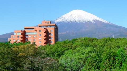 Primary image