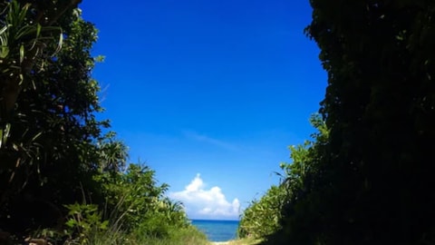 Primary image