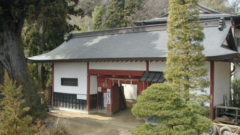 Primary image