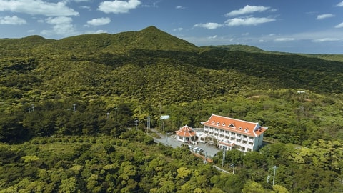 Primary image