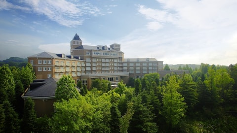 Primary image