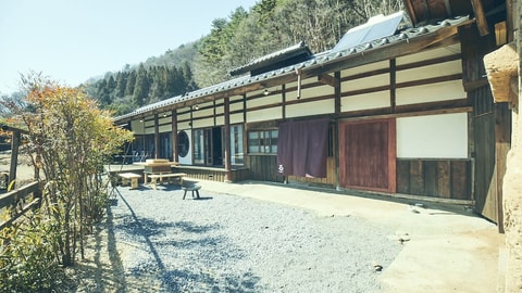 Primary image