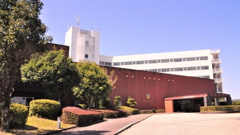 Primary image