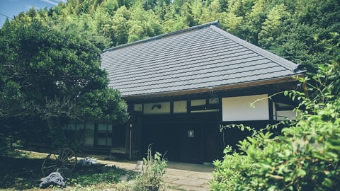 Primary image