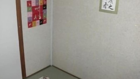 客房