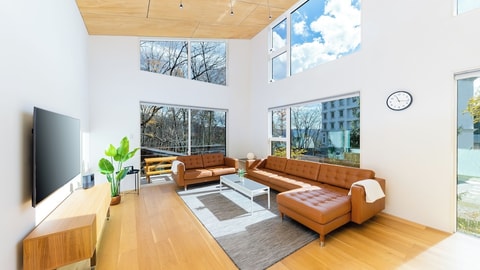 Primary image