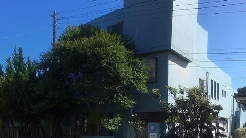 主图片