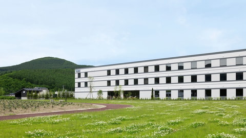 Primary image