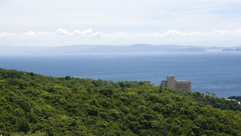 Primary image