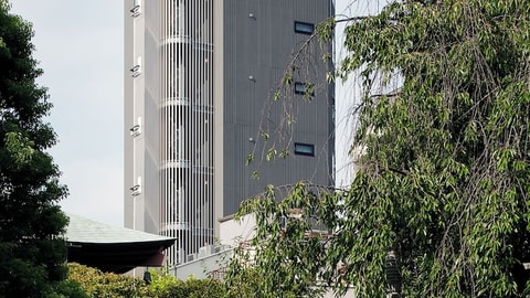 Primary image