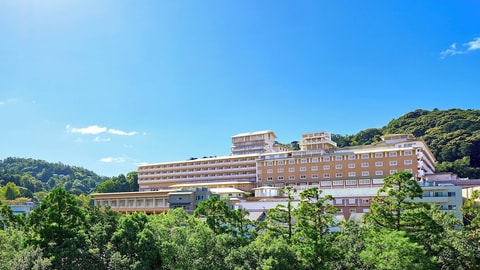 Primary image