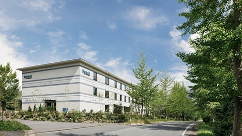 Primary image