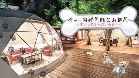 主图片