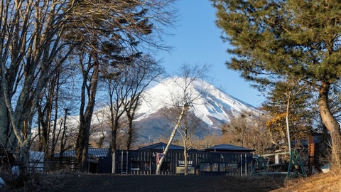 Primary image
