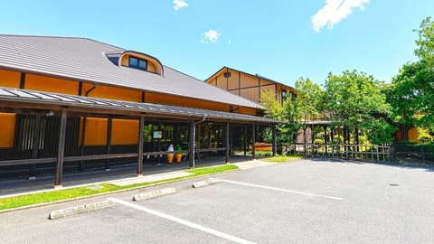 Primary image