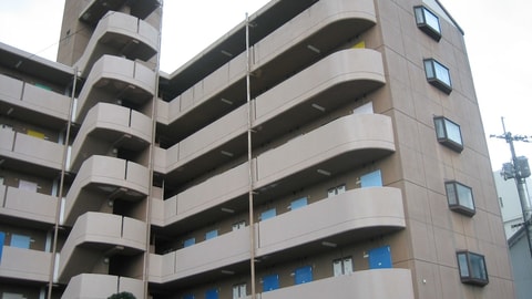 Primary image