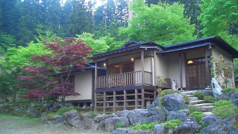 Primary image