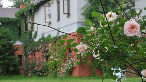 Primary image