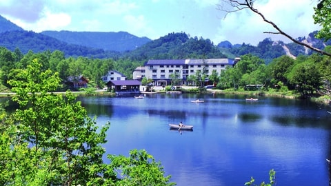 Primary image
