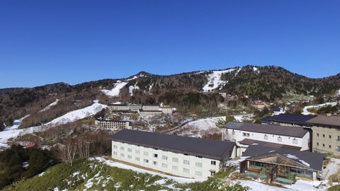 Primary image