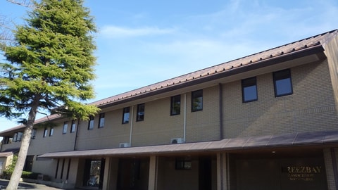 Primary image