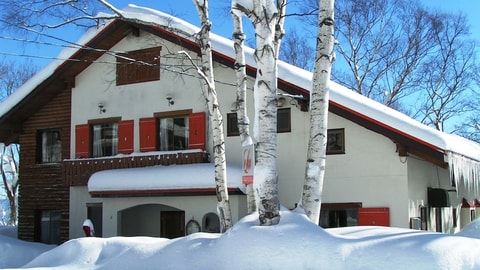 Primary image