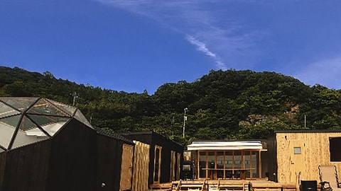 Primary image