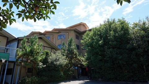 Primary image