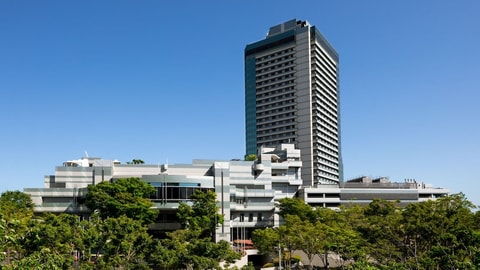 Primary image