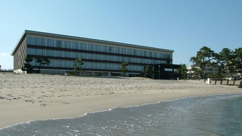 Primary image