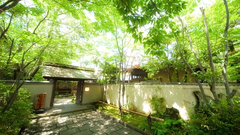 Primary image