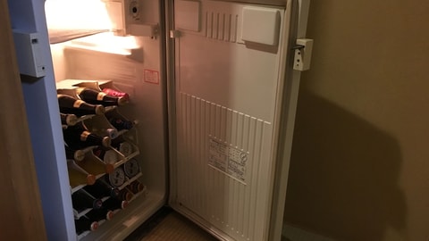 Mini-refrigerator