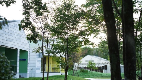 Primary image