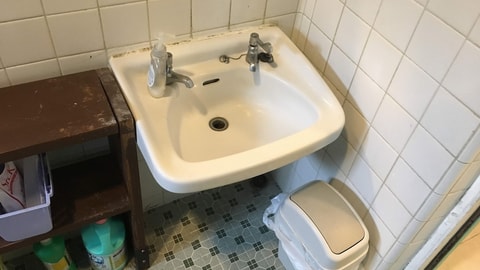 Bathroom sink