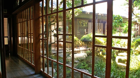 Primary image