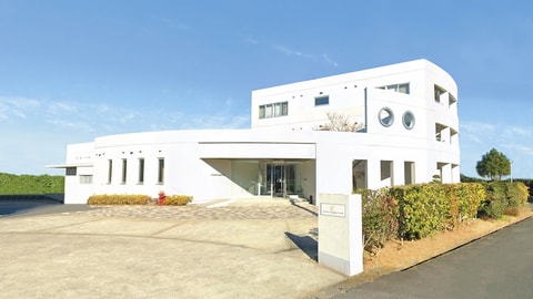 Primary image