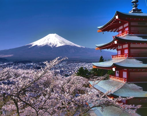HOTEL MYSTAYS Fuji Onsen Resort