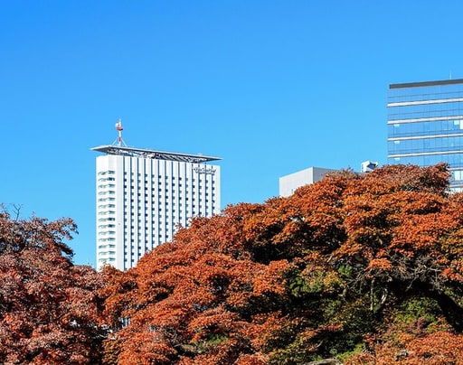 Century Southern Tower Hotel