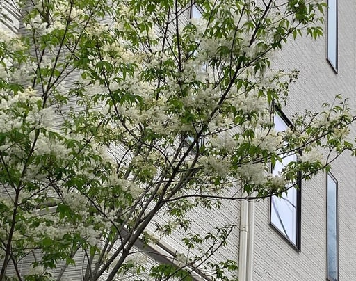 Asakusa HomeSuites Tokyo