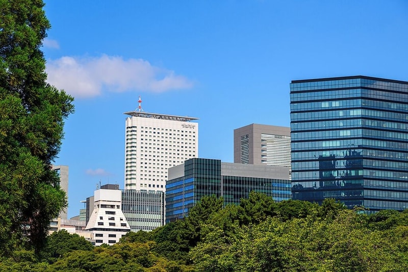 기본 이미지